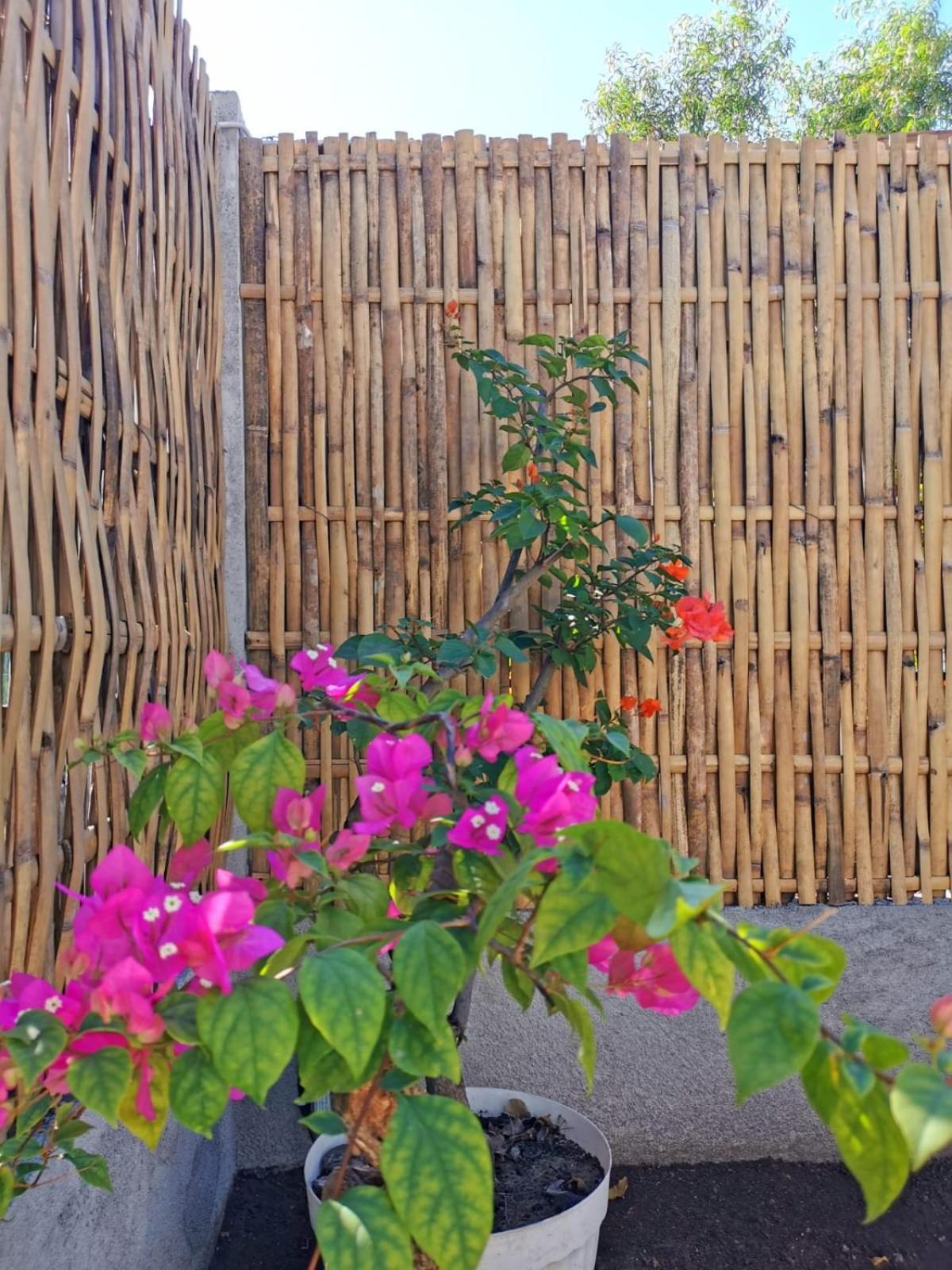 הוילה גילי מנו Exotic House מראה חיצוני תמונה